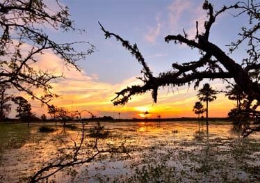 argentina-adentro-libera