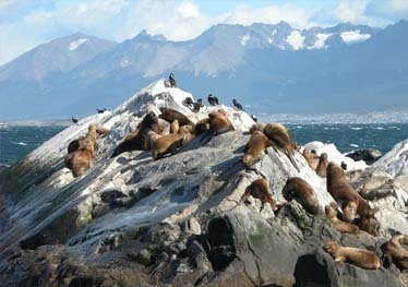 argentina-adentro-ushuaia