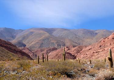 argentina-adentro-valles-calchaquies