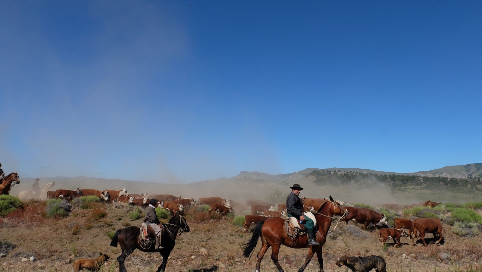 arrayanes-lagos-volcanes